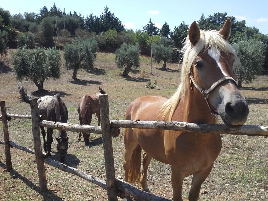 Agriturismo Terranova Guest House Pisticci Luaran gambar